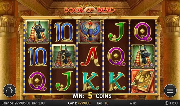 Book of Dead gokkast