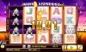 Karamba Silver Lioness